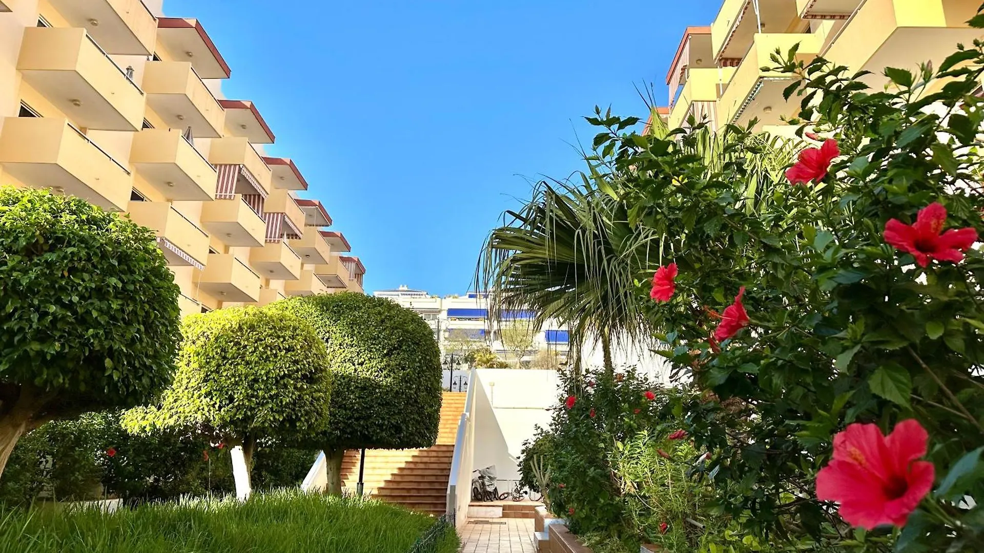 Apartment In Central Los Cristianos  Los Cristianos (Tenerife)
